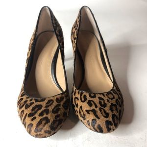 Banana Republic Women’s Size 7 Leopard Pumps